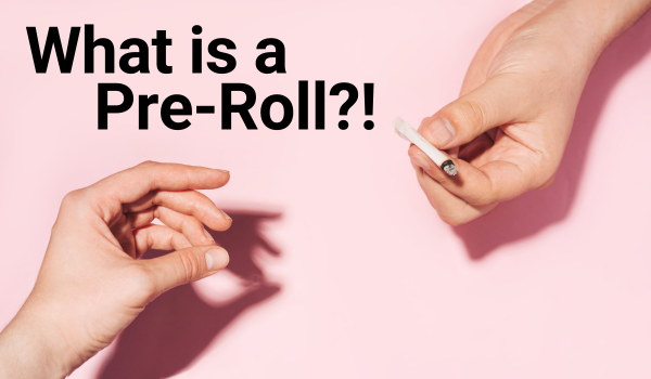 Follow our blog for more information about pre roll automation!