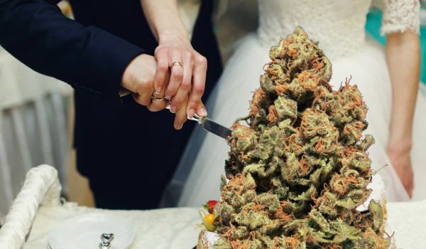 Learn more about the wedding cake strain with our blog!